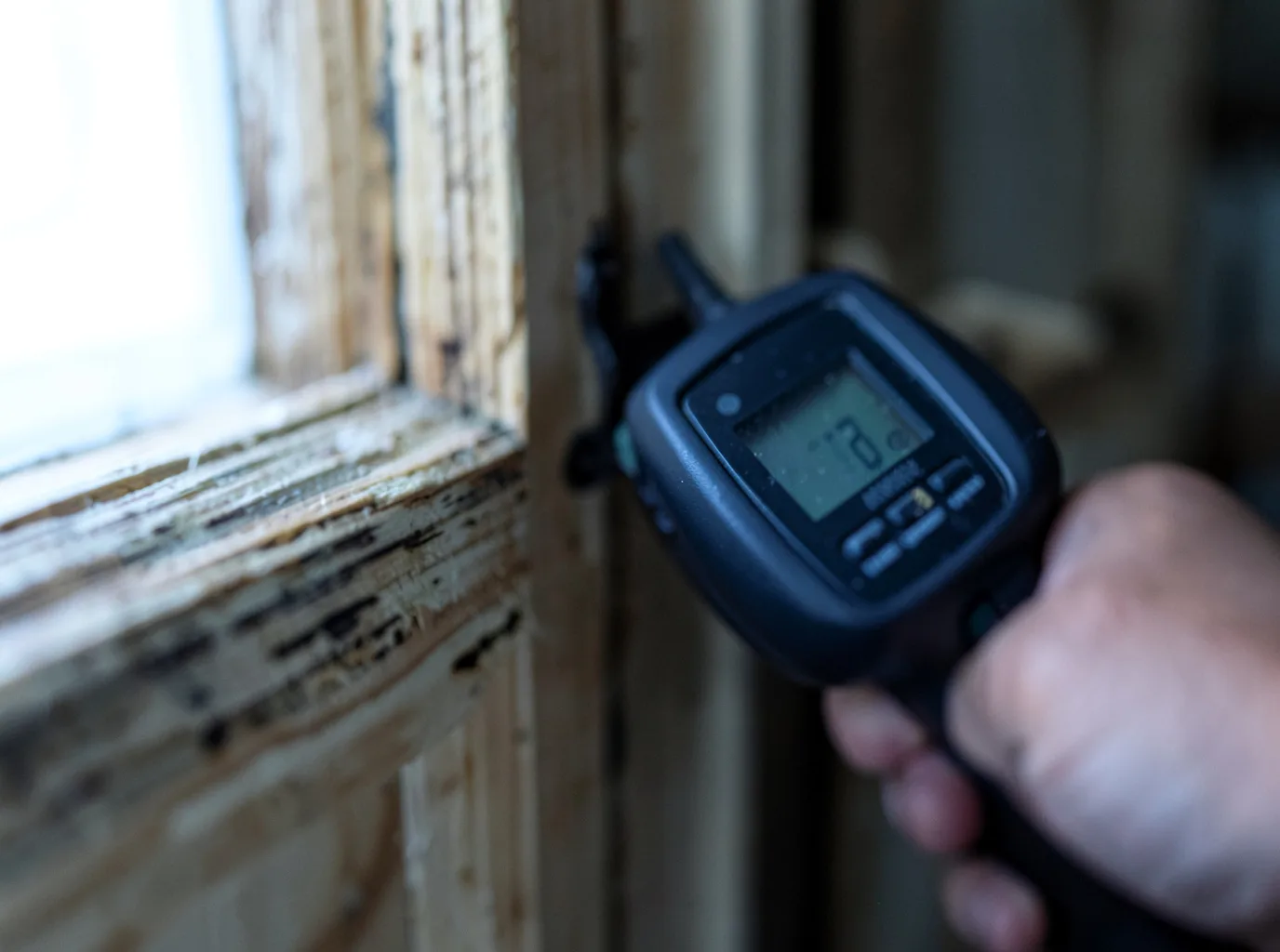 Moisture Inspection And Documentation in Los Lunas, NM